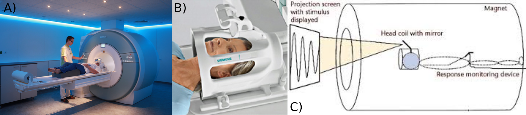 fMRI data