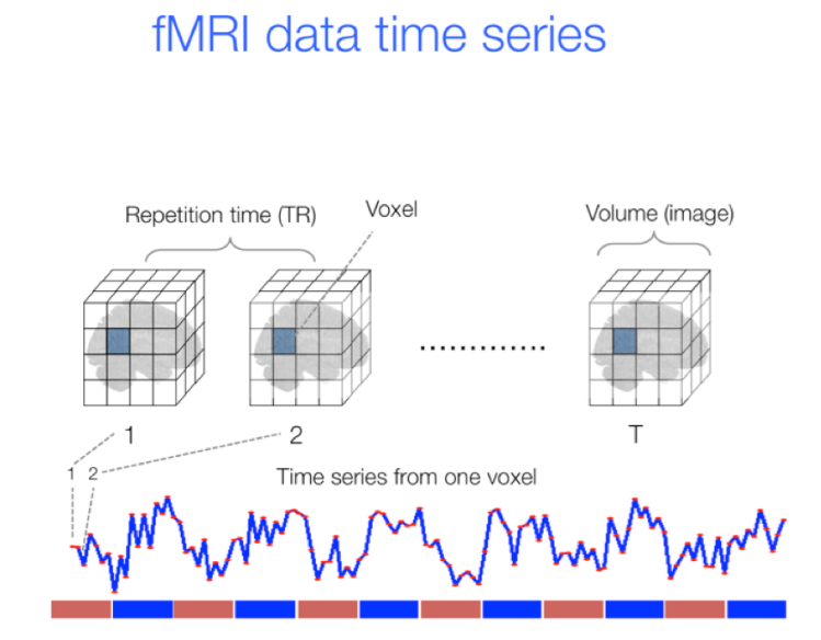 fMRI data